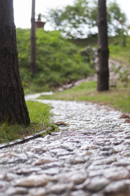 Gosztola Gyoengye-Az Erdo Szallodaja Bagian luar foto